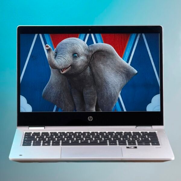 HP Pro x360 435 13.3" G9